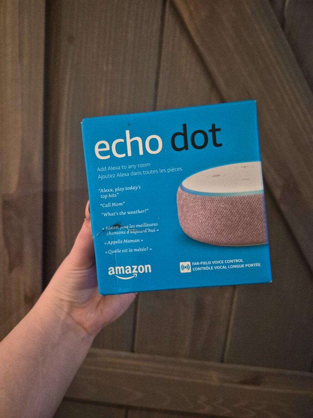 Amazon Echo Dot